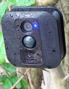 The Blink XT mounted on the privet hedge